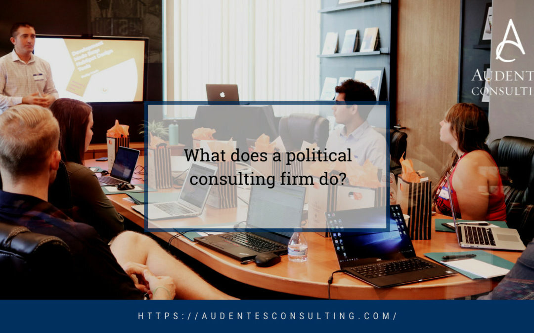 What Does a Political Consulting Firm Do? - Audentes Consulting