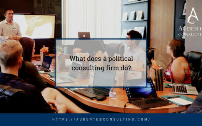 What Does a Political Consulting Firm Do?
