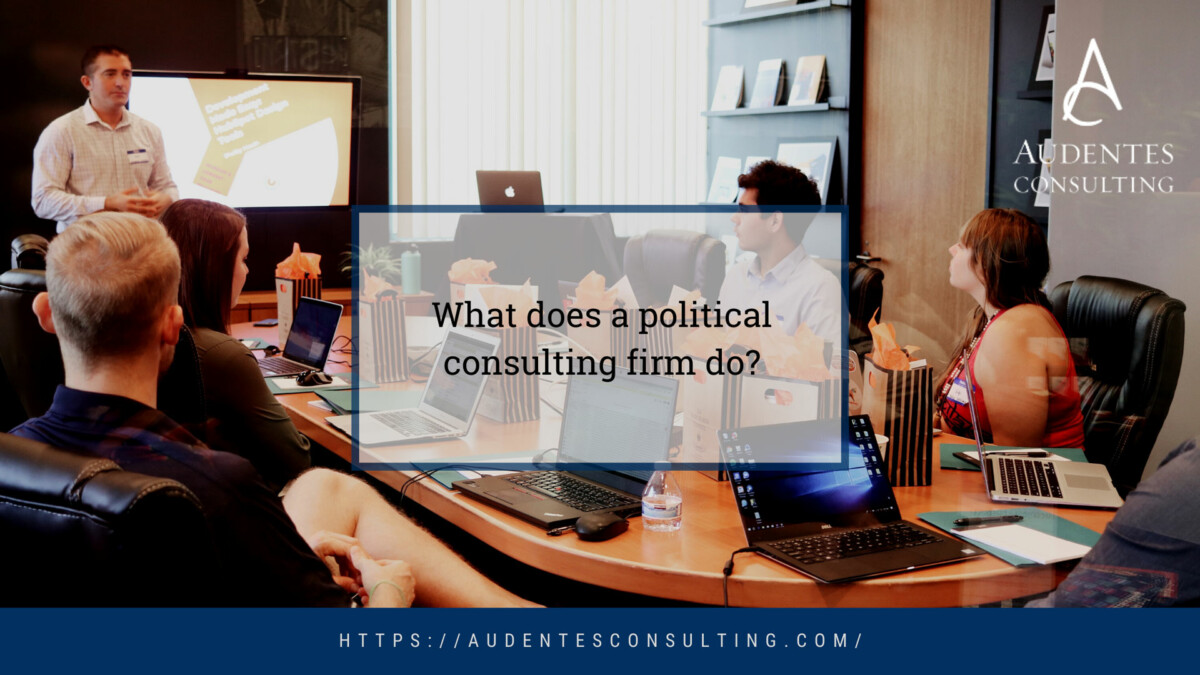 What Does a Political Consulting Firm Do? - Audentes Consulting